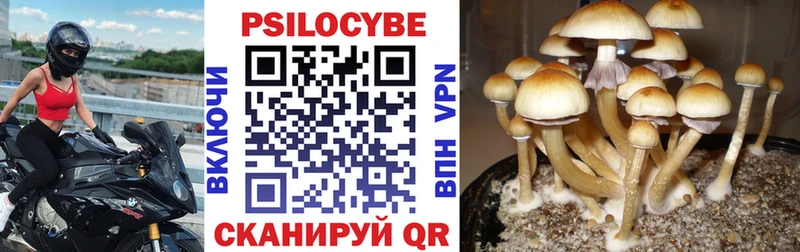 Галлюциногенные грибы GOLDEN TEACHER  Сухиничи 