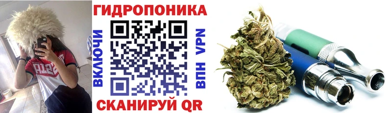 Бошки Шишки план  блэк спрут ТОР  Сухиничи 